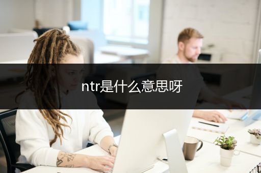 ntr是什么意思呀